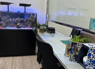 台中太平當鋪借款-花旗當鋪-台中太平當鋪汽車借款,台中太平當鋪機車借款,台中太平當鋪推薦,台中太平當鋪借錢,台中太平當鋪黃金借款,台中太平當鋪名錶借款,台中太平當鋪珠寶借款,台中太平當鋪手機借款,台中太平當鋪典當,台中太平當鋪首選花旗當鋪34